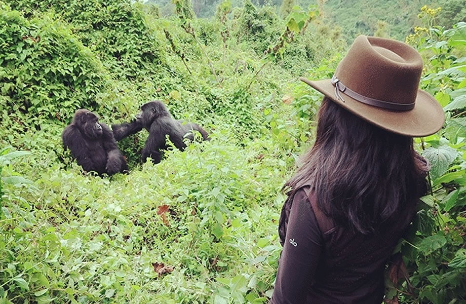 9 Tips for Eco-friendly Gorilla Trek